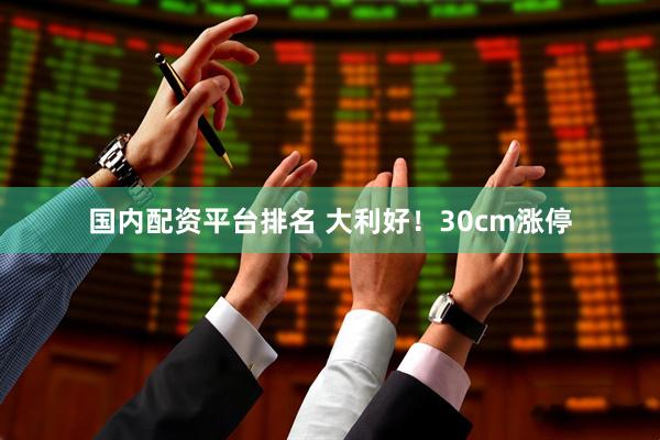 国内配资平台排名 大利好！30cm涨停